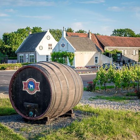 Wine-Barrel Rivaner Dreischor Екстериор снимка