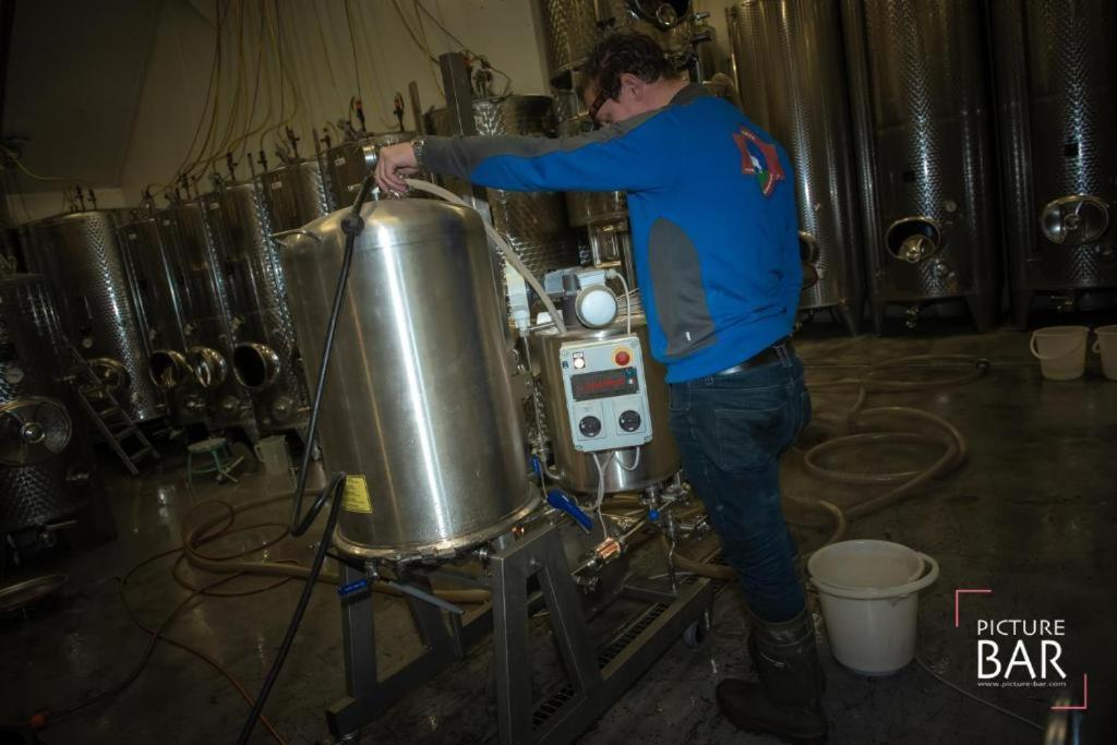Wine-Barrel Rivaner Dreischor Екстериор снимка